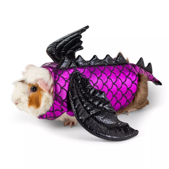 Dragon costume for small pets - Picture 2 of 6